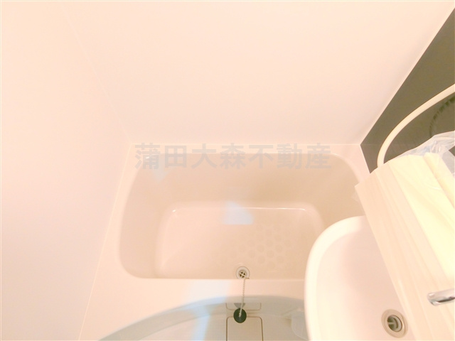 ウェルシー蒲田の浴室