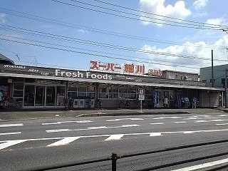 【周辺】 | サン・スカイＭ　Ⅳ | スーパー細川まで550m