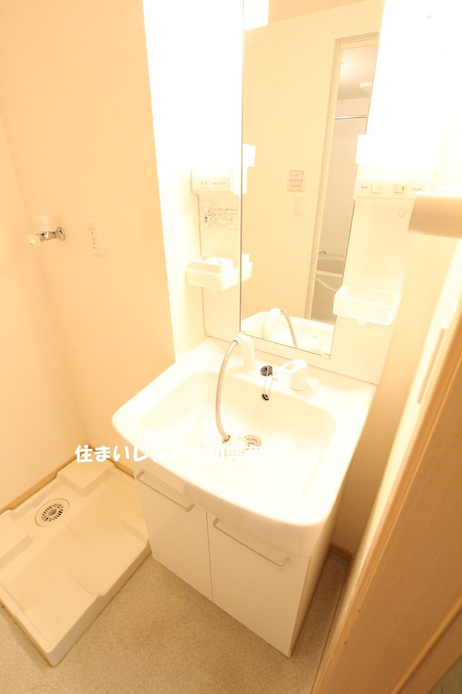 アイリスメゾンの洗面所