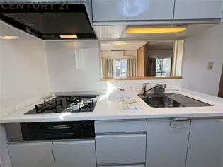 シンプルなデザインと使いやすさを兼ね備えた対面式システムキッチンは、効率的な作業スペースを提供し、家族やゲストとのコミュニケーションを促進します。