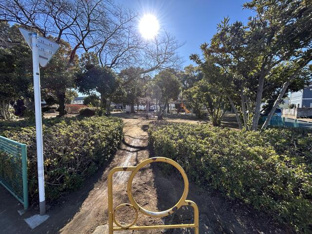 物件から約１０ｍの公園