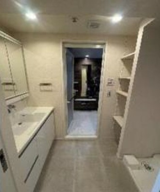 プレシス浅草雷門の洗面所