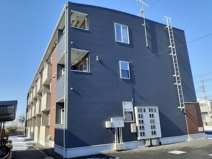 ＡＮＧＥＬＵＳの画像