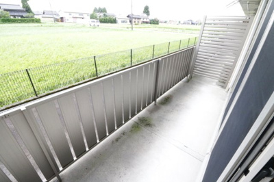  | チューリップ フィールド