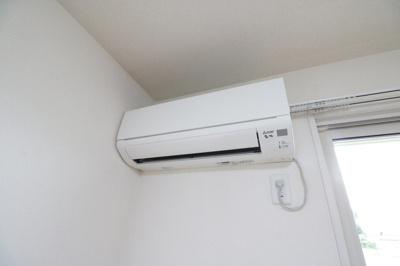  | チューリップ フィールド