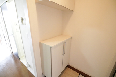  | チューリップ フィールド