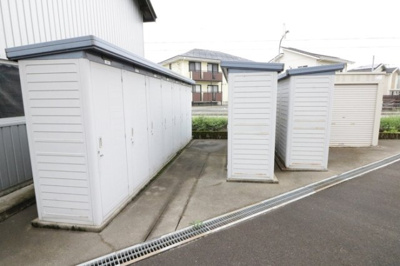  | チューリップ フィールド