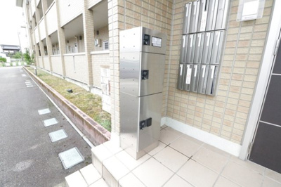  | チューリップ フィールド