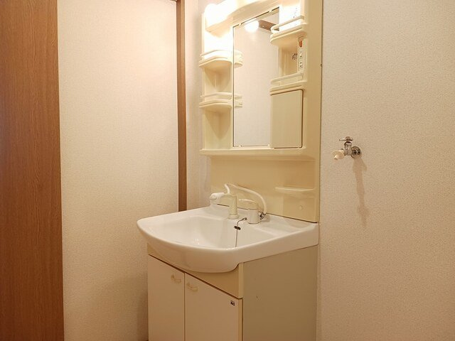 ベルビィトンＡの洗面所