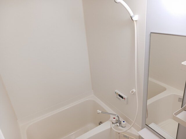 プルミエ・アムールⅢの浴室