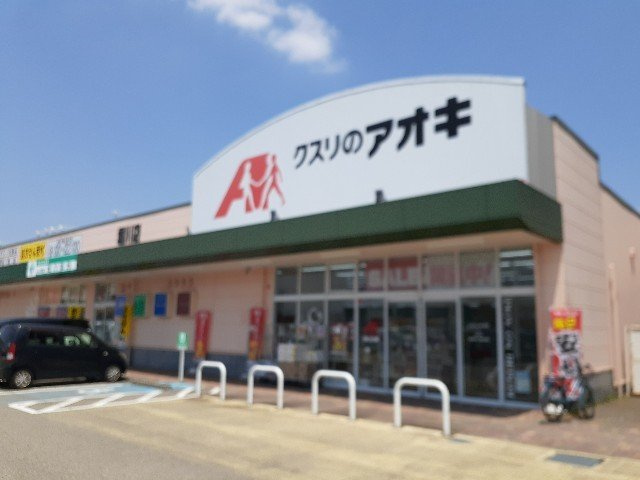 ハッピーフィールドつばき館の周辺|クスリのアオキ堀川店まで800m