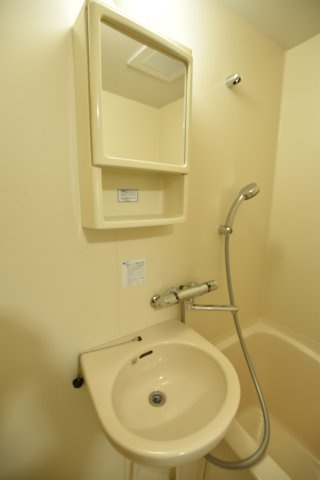 メゾン八尾の洗面所