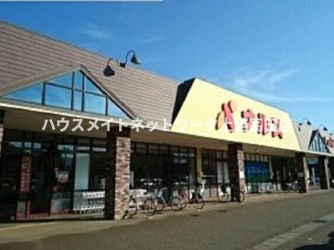 フェリシア・コートⅢの周辺|その他