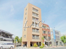 コスモポリタンの画像