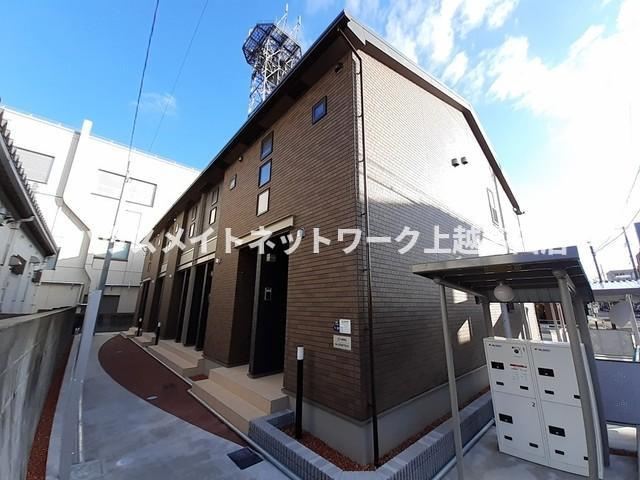 Ｃａｌｍｅ　楡の木