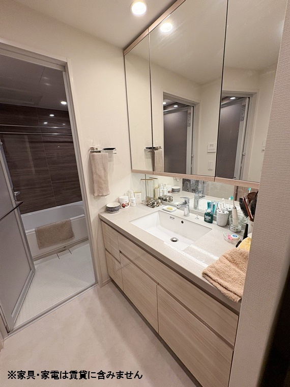 クラッシィタワー新宿御苑の洗面所