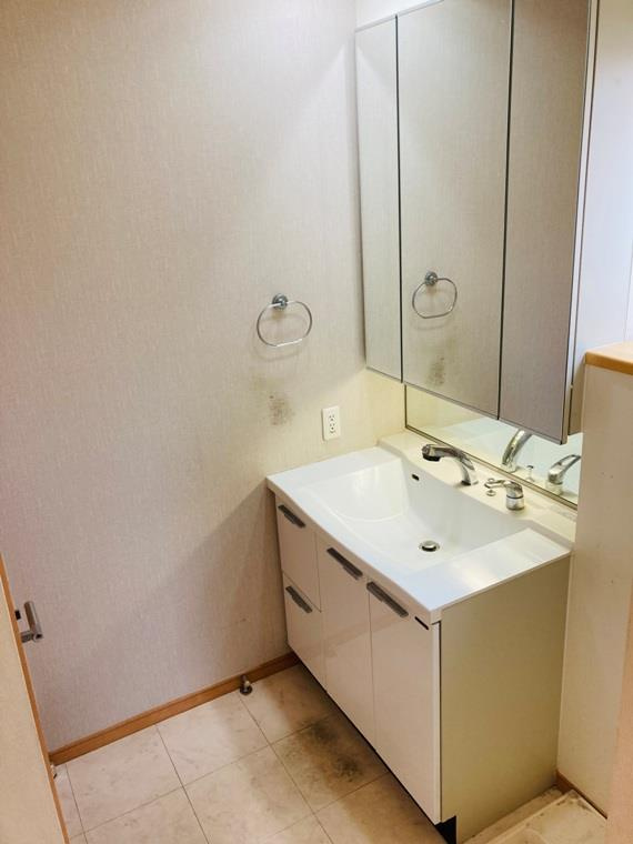 浜田山戸建の洗面所