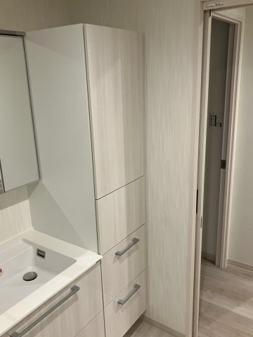 広尾アパートメントの洗面所|リネン庫もご用意しております。