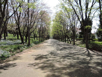 鶴間公園まで400ｍ