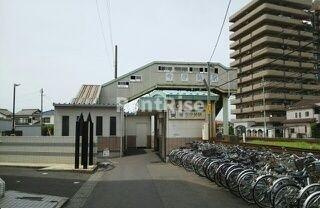 ＩＮＵＩ３６　Ｂのその他|その他