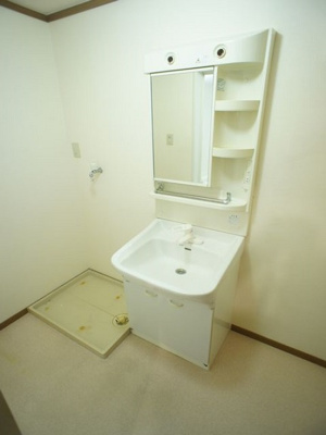 【洗面所】 | プレーザントハウスＤ