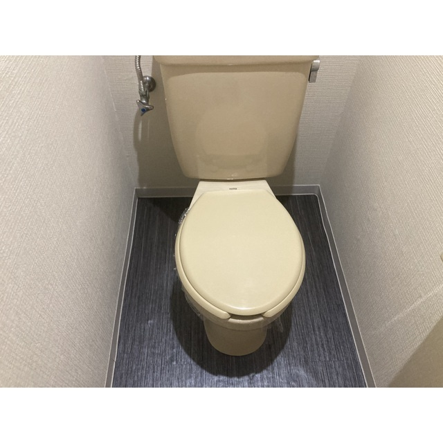 レヂオンス小手指のトイレ