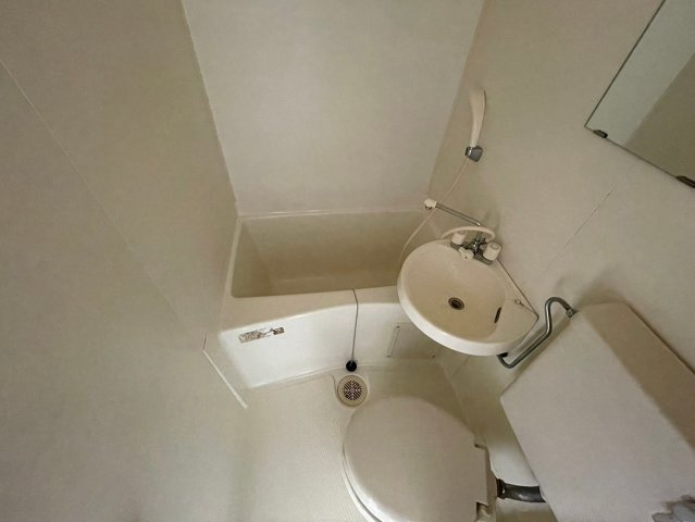 メゾンVの洗面所