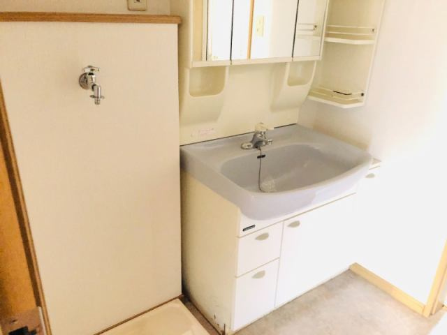 コーポラスTANAKAの洗面所