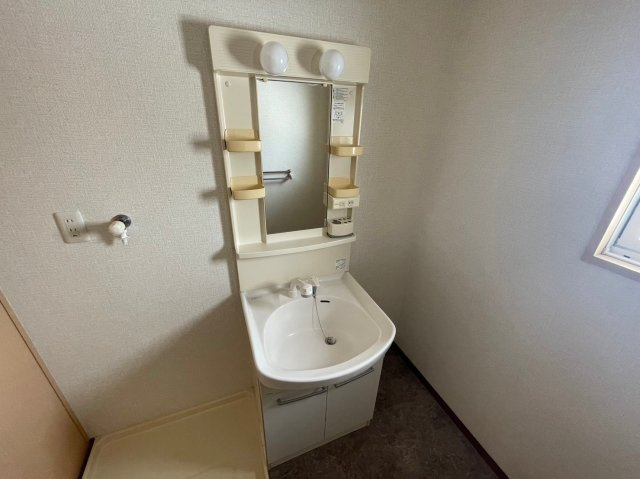 メゾンプレアデスの洗面所