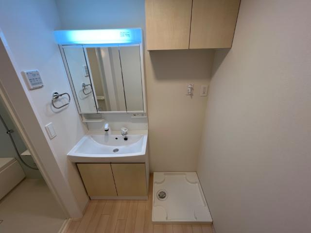 ＩＶＹＣＯＵＲＴ　-アイビーコート-の洗面所|洗面