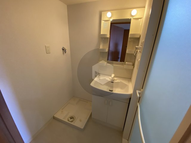 グランシス高井田の洗面所