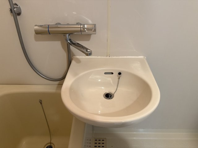 メゾンデール本町の洗面所