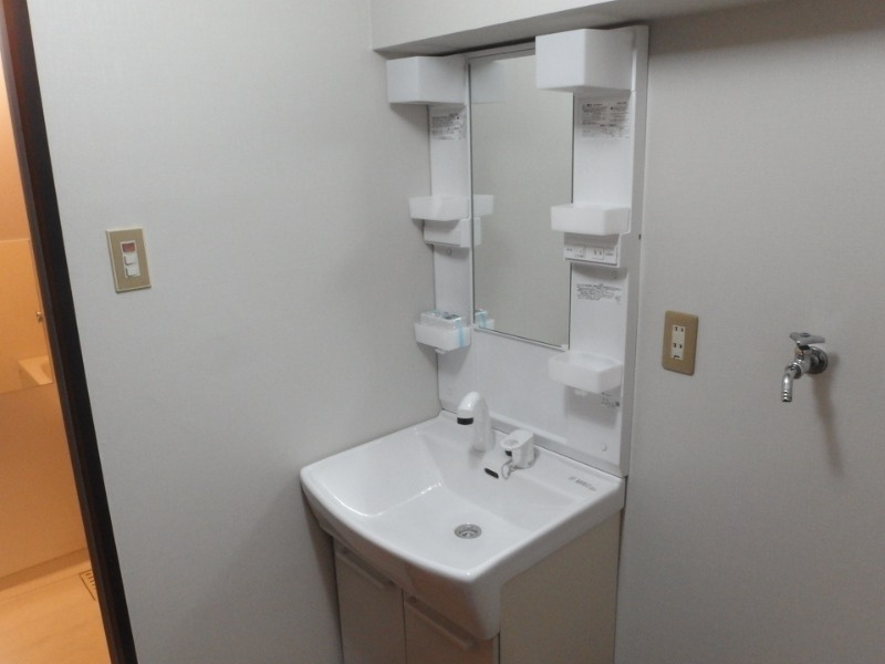 イーストガーデン杉の木館の洗面所