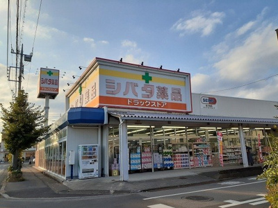 【周辺】 | アザレヤハイツＤ | シバタ薬品住吉店まで500m