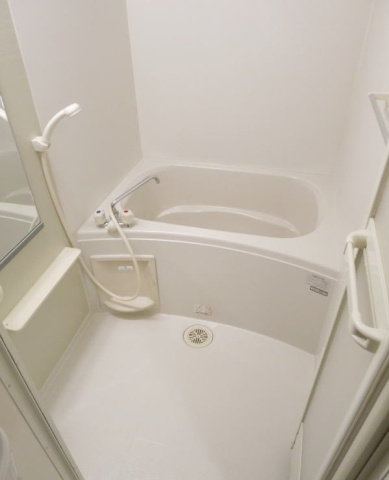 エクセレント道の浴室