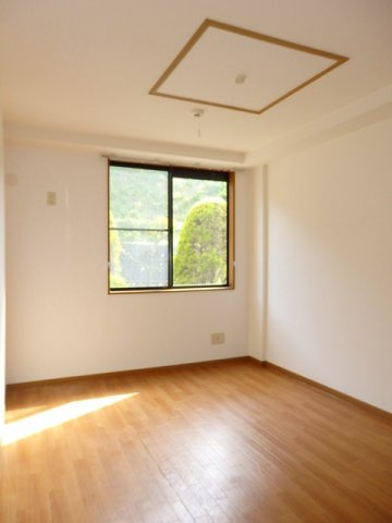 ファースト　ステップのその他