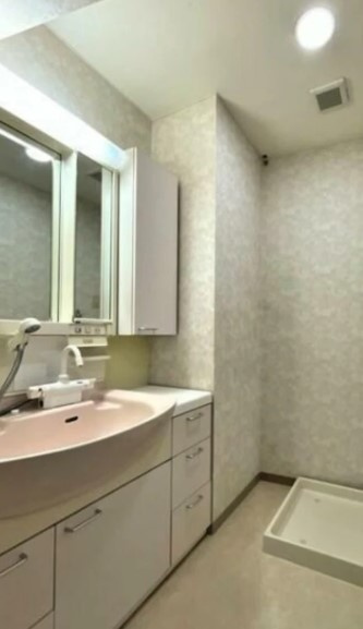 ミラベル関谷の洗面所