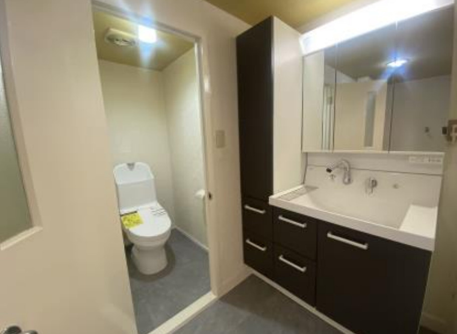 みずほ台団地第6-1号棟の独立洗面台|三面鏡+大容量収納付きの洗面台です！