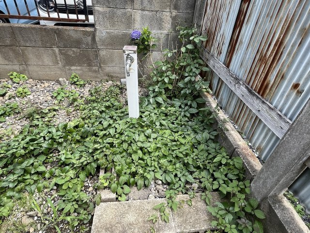 海老沼住宅の庭|玄関前に外水道がございます。
