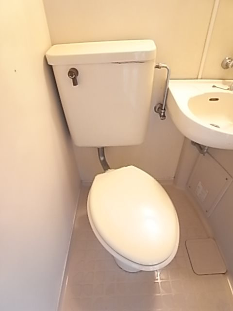 メゾン・ド・エクランのトイレ