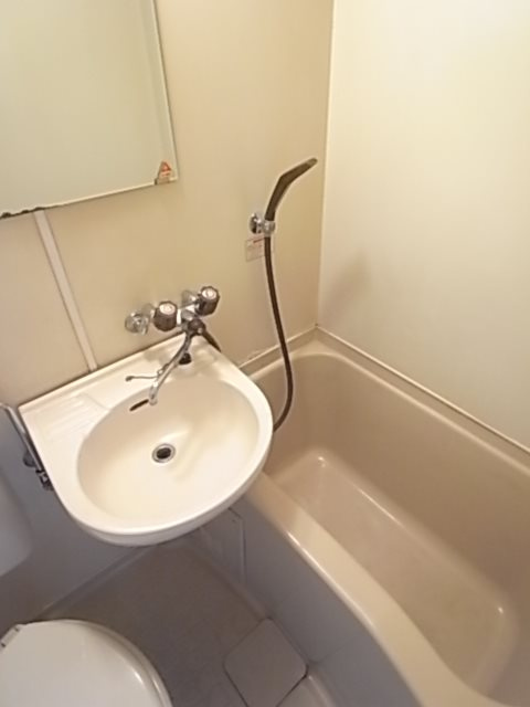 メゾン・ド・エクランの洗面所