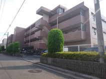 フェリスローマ浦和の画像