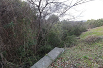 西岐波字潮田1593-1（雑種地／雑木林）203坪の画像