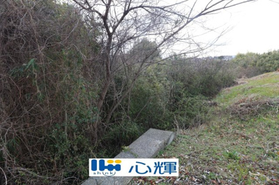 【外観】 | 西岐波字潮田1593-1（雑種地／雑木林）203坪 | 傾斜地（現況は雑木林）になっています。
現地（2025年3月撮影）