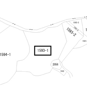 【土地図】 | 西岐波字潮田1593-1（雑種地／雑木林）203坪