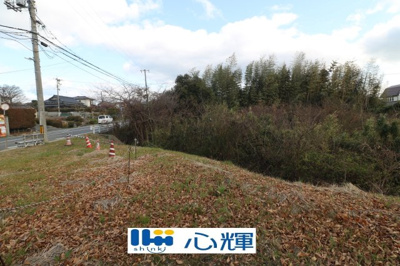 【外観】 | 西岐波字潮田1593-1（雑種地／雑木林）203坪 | 現地（2025年3月撮影）
