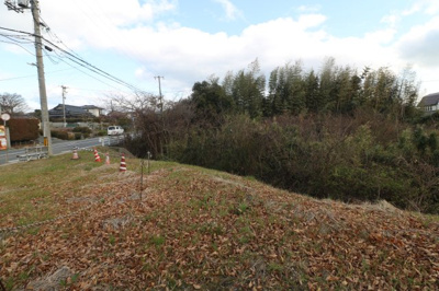 【外観】 | 西岐波字潮田1593-1（雑種地／雑木林）203坪 | 現地（2025年3月撮影）