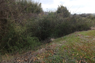 【外観】 | 西岐波字潮田1593-1（雑種地／雑木林）203坪 | 現地（2025年3月撮影）