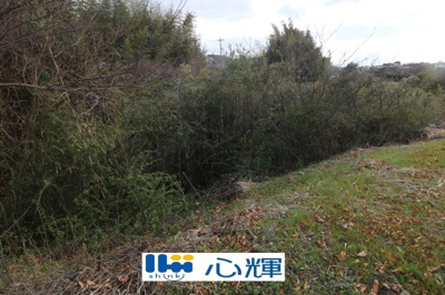 【外観】 | 西岐波字潮田1593-1（雑種地／雑木林）203坪 | 現地（2025年3月撮影）