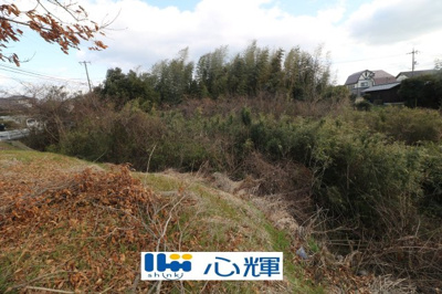 【外観】 | 西岐波字潮田1593-1（雑種地／雑木林）203坪 | 現地（2025年3月撮影）